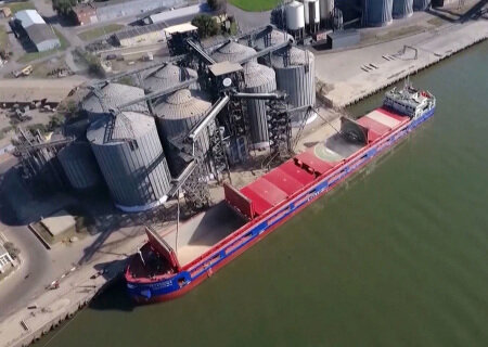    Грушко: Боррель признал, что главную ответственность за провал зерновой сделки несут США и страны Евросоюза