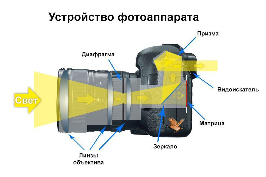 Часть фотоаппарата формирующая оптическое изображение на светочувствительном материале