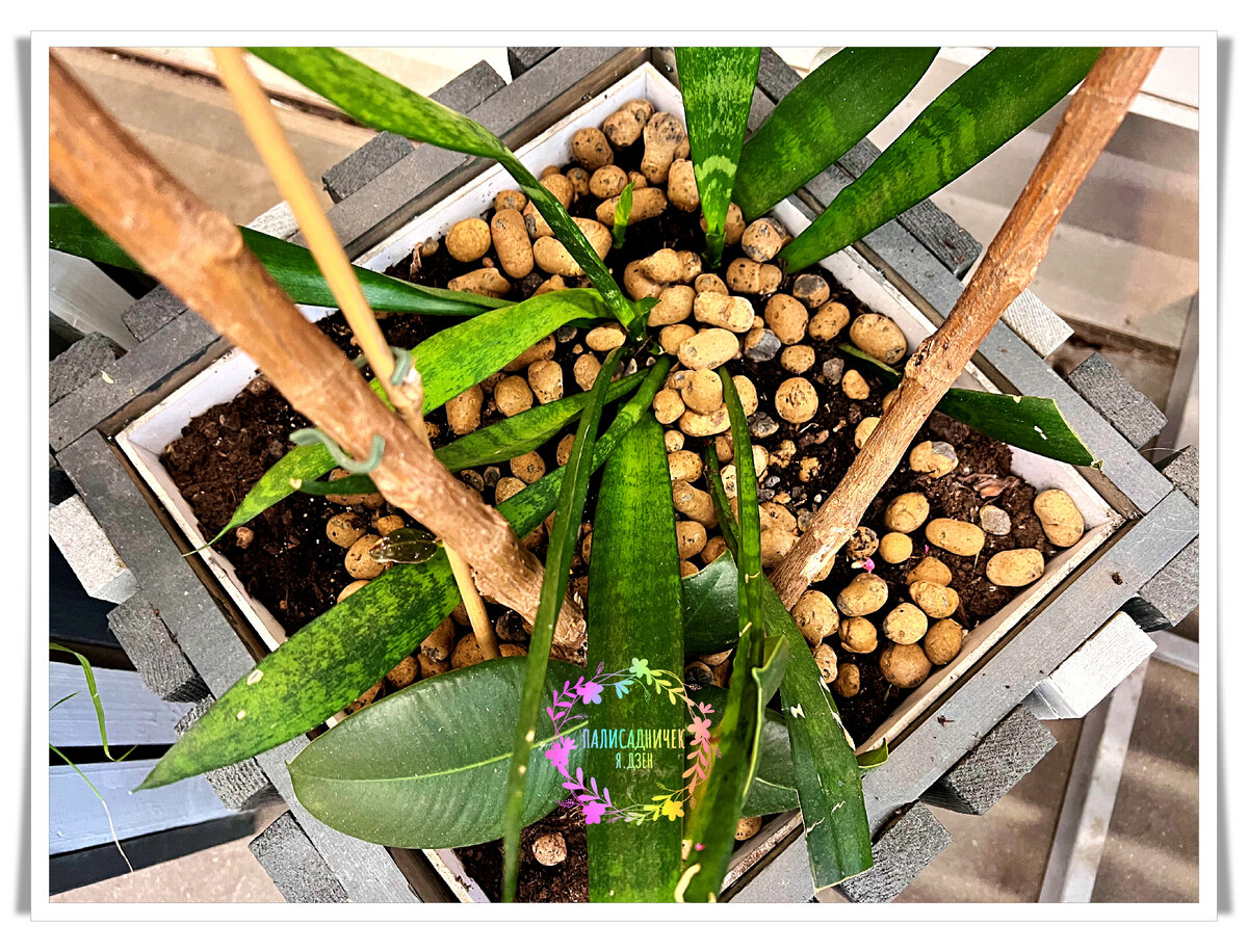 Видны "проплешины", в слое керамзита, да?