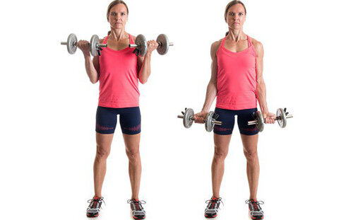 • Тяга гантелей перед собой;