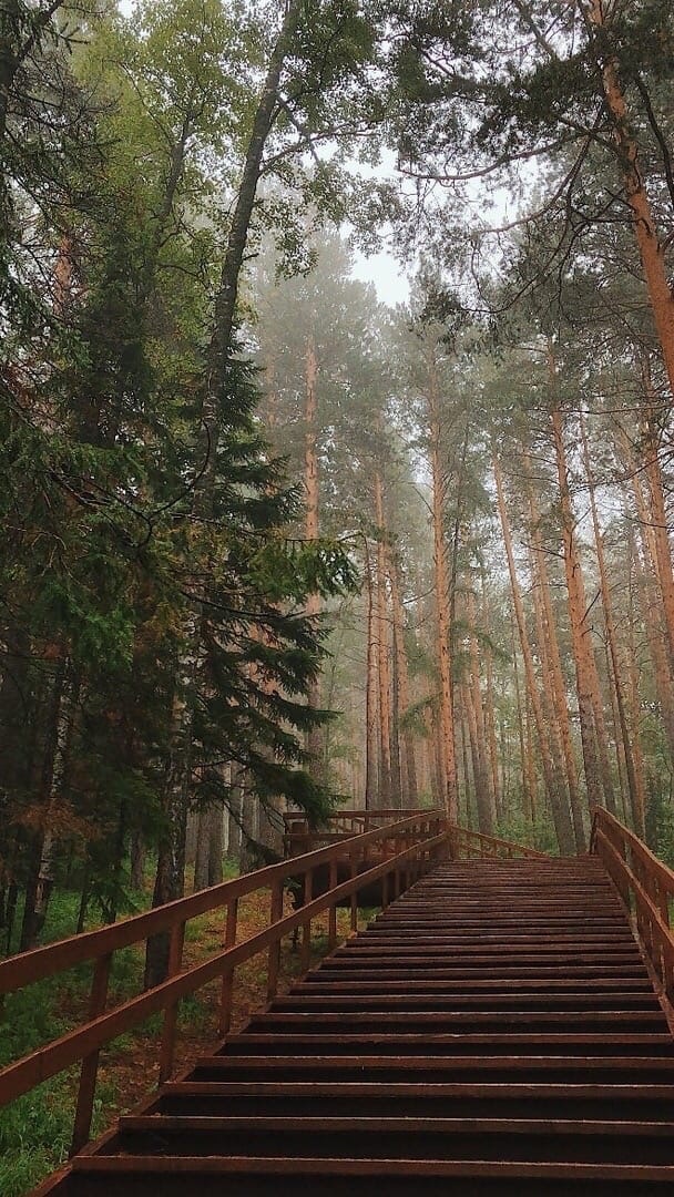 Название не случайно...есть момент когда очарование меняет свой окрас... 