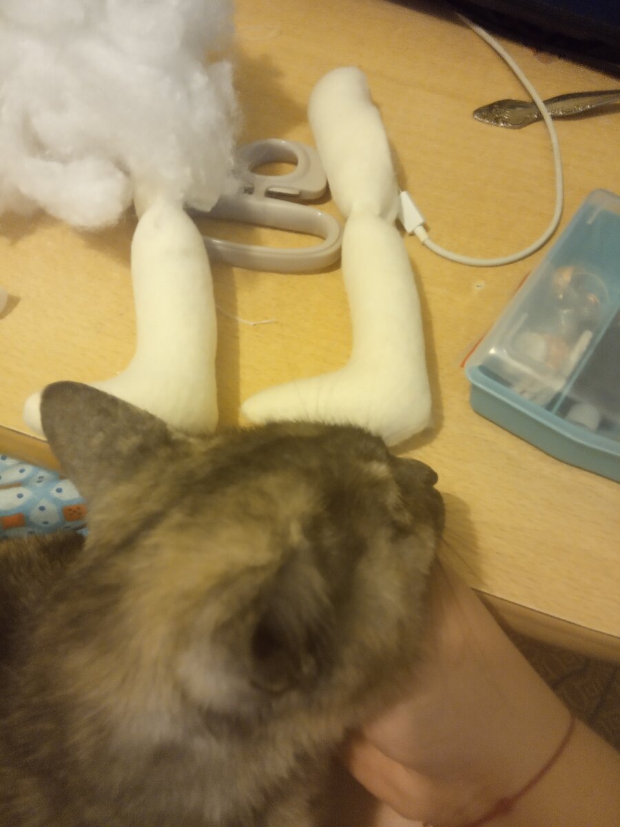 невозможно без кошки хоть что-то делать!