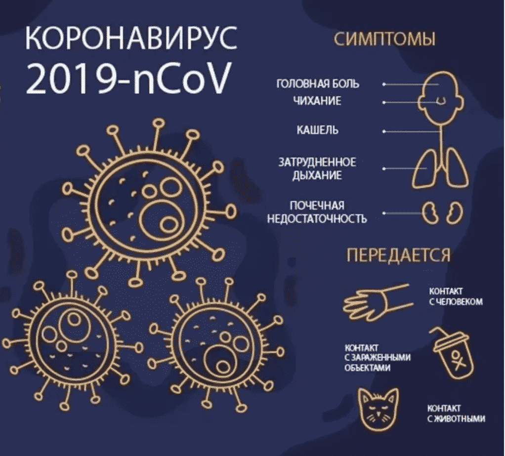 Симптомы коронавируса картинки