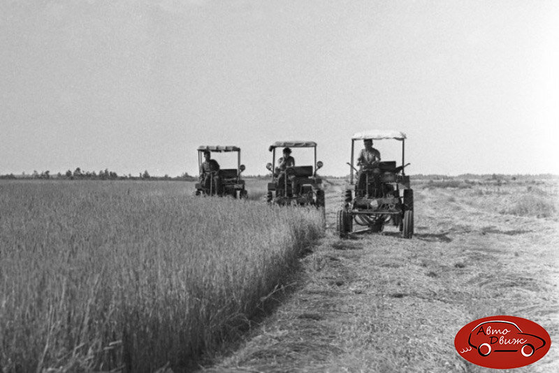 Работа на землях, введенных в оборот после мелиорации, 1966 год