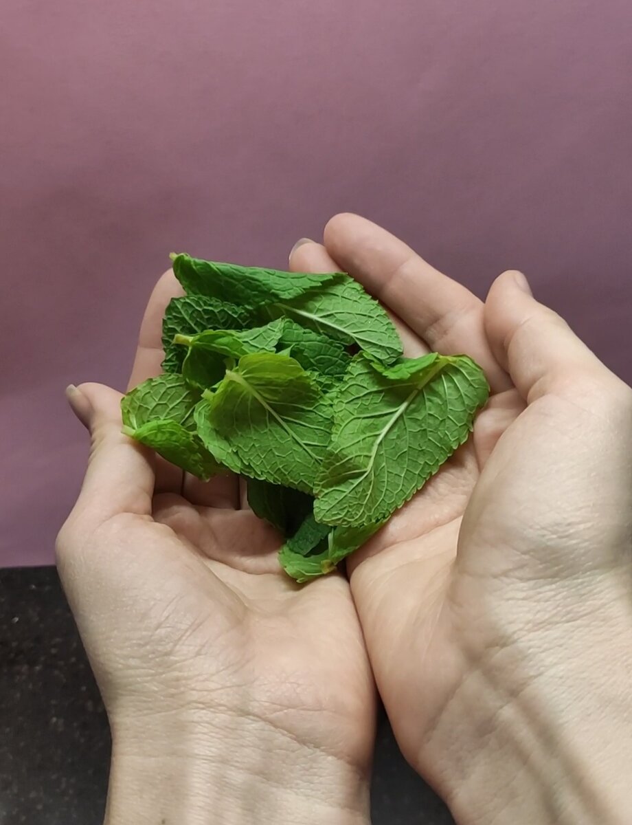 Небольшой пучок мяты