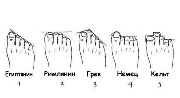 Форма стопы и характер: как его определить по пальцам ног