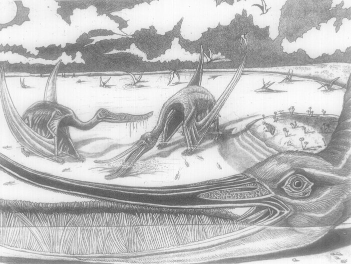 Черно-былое изображение Птеродаустро и его местообитания. Реконтрукция.