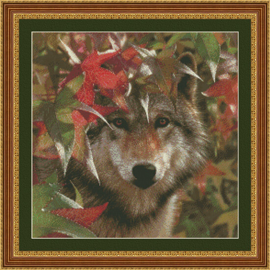 3510 Autumn Encounter Wolf 