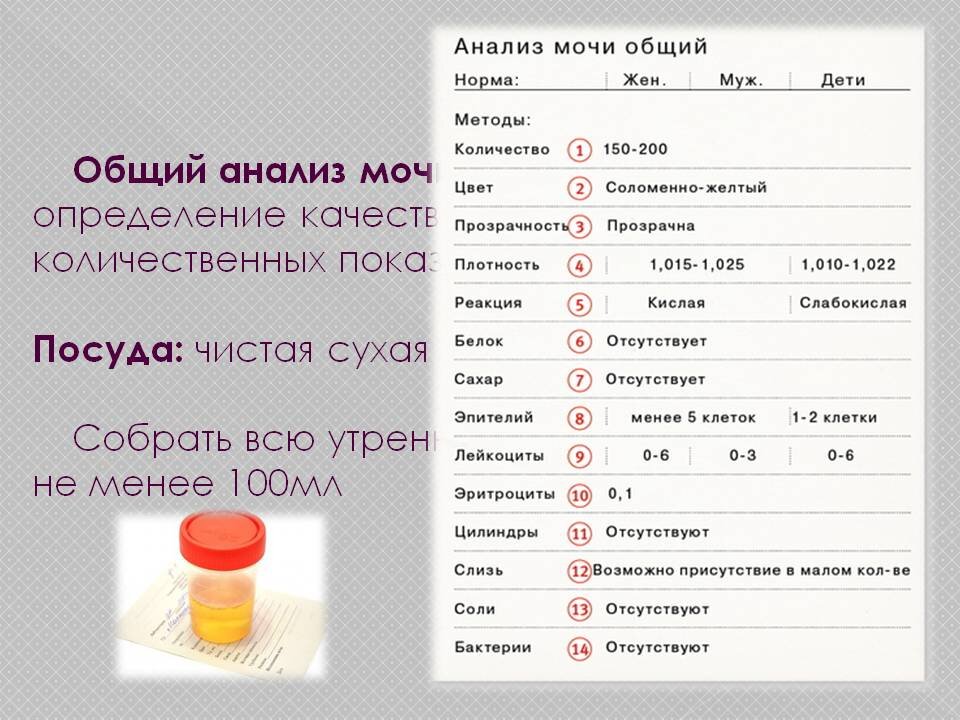 Кетоновые тела в моче сдать анализ со скидкой до 50%!