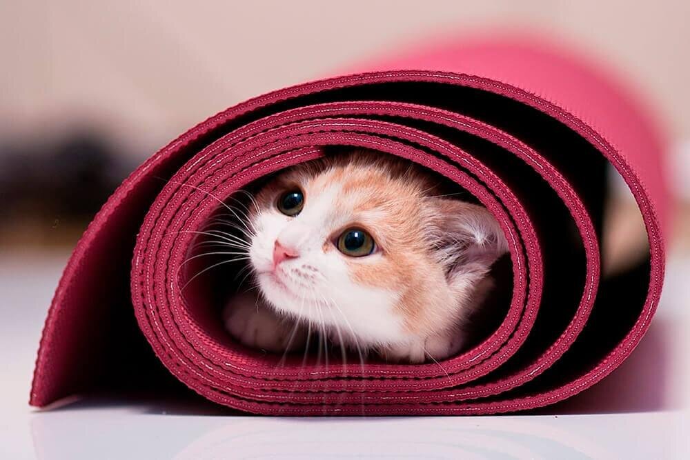 Натуральные коврики могут иметь запах, который со временем практически выветривается