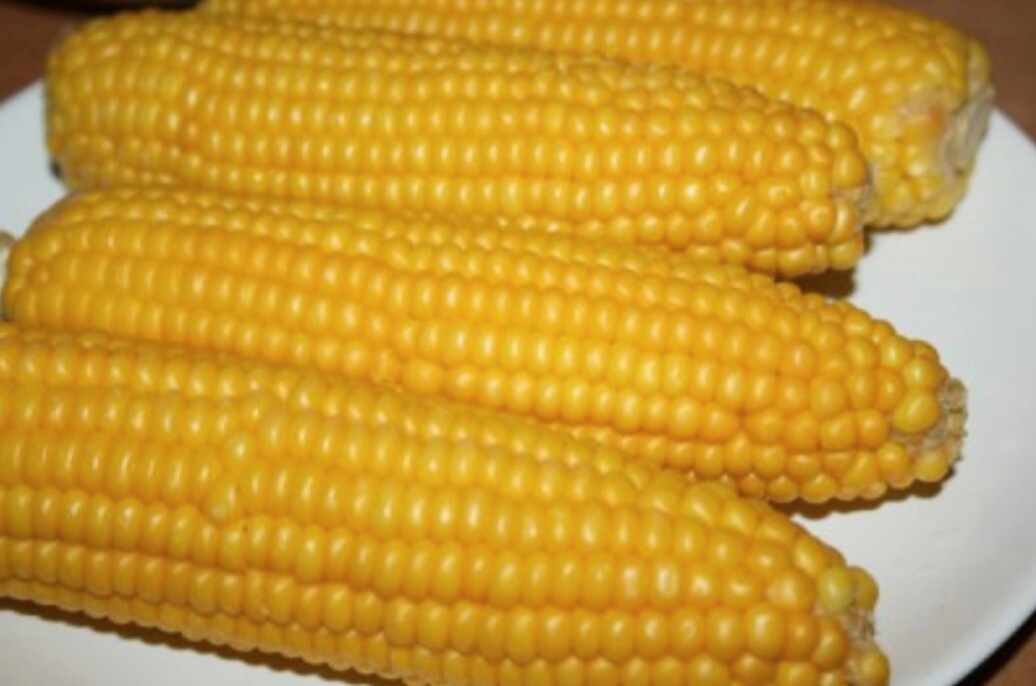 Вареная кукуруза