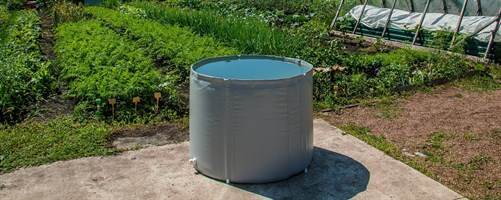 Источник: luzhaykin.ru