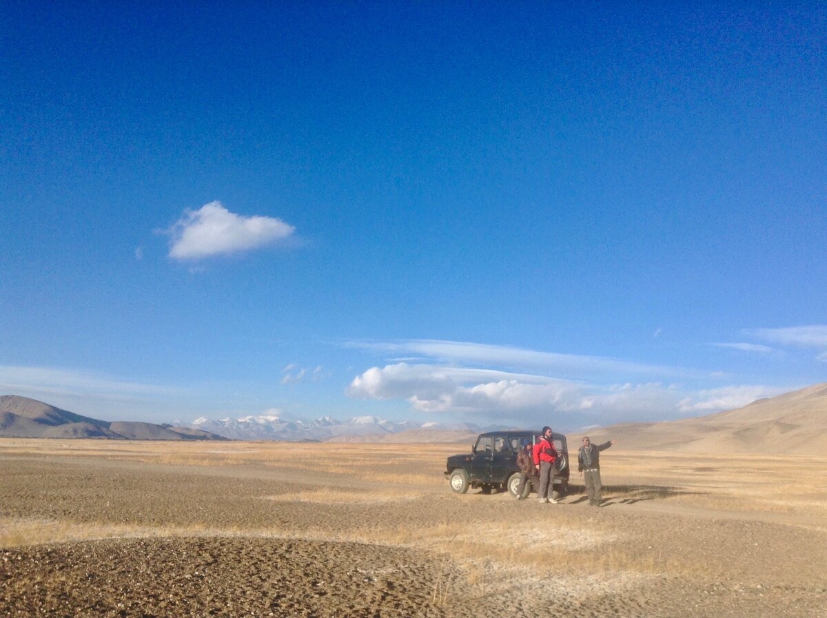 Посреди пустыни 