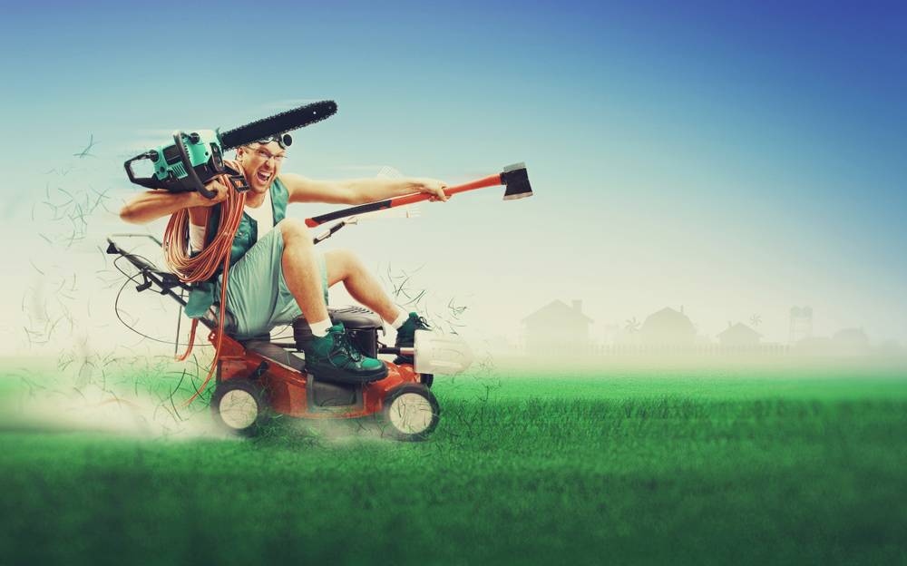 Фото: Lobur Alexey Ivanovich/shutterstock