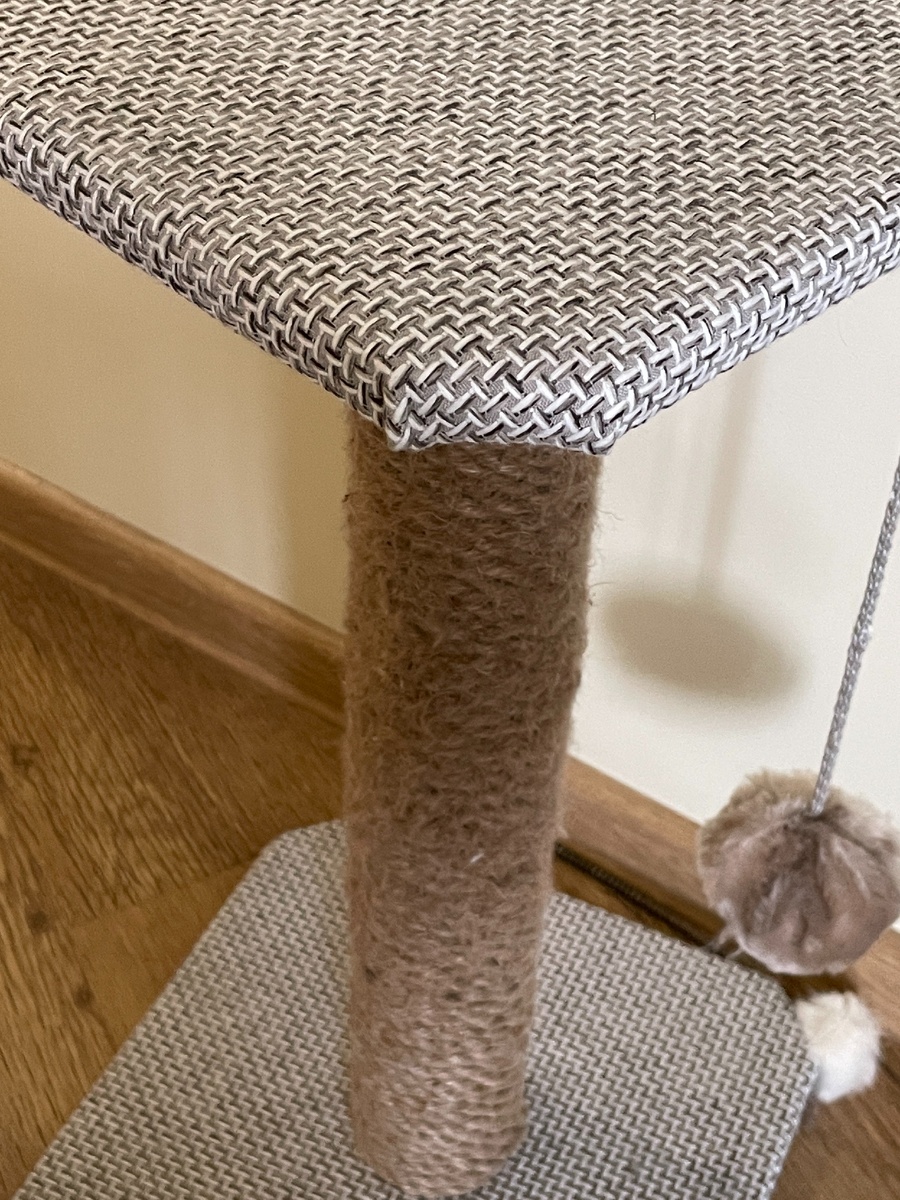 Когтеточка Муркизы