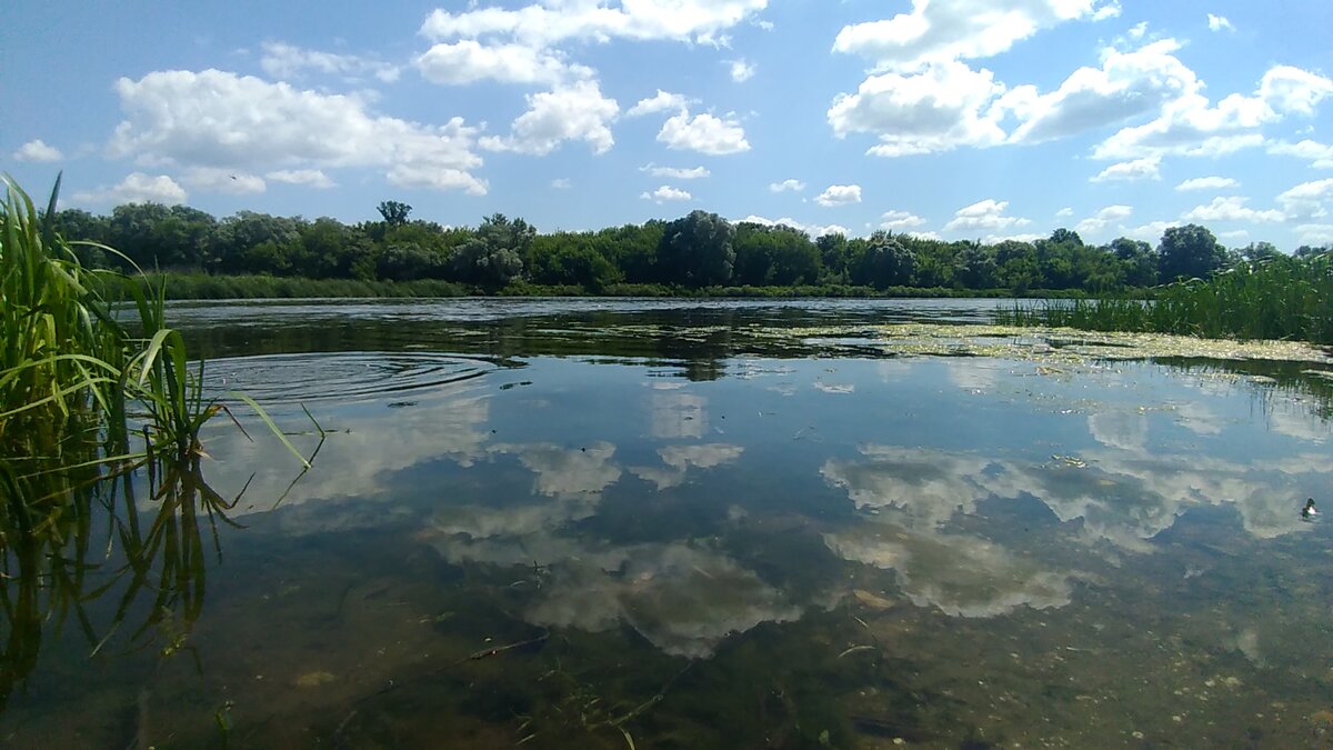 Урыв-Покровка - село стратегического назначения | Вперёд к прекрасному |  Дзен