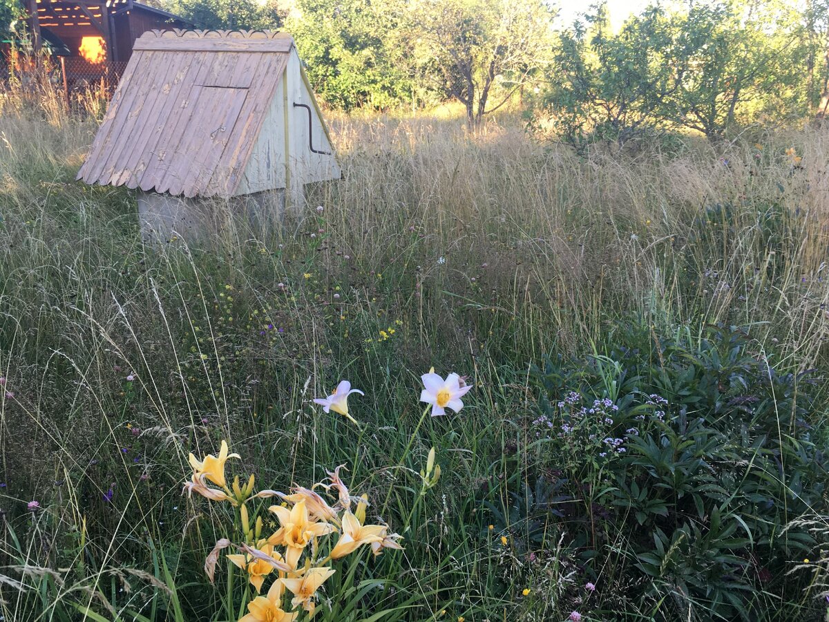 Так колодец выглядел в прошлом году после того, как я обработала скаты. До обработки - по всей поверхности висела лоскутами облупившаяся краска. Стало аккуратнее