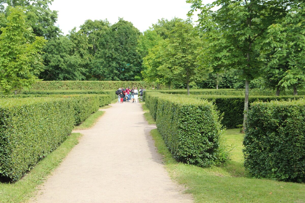 Аллеи парка