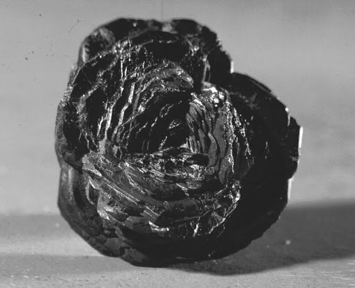 Вот о такой розе идет речь. Фото: Яндекс