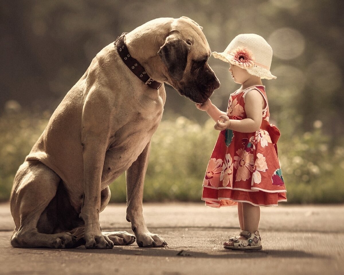 Собаки в древности [Древние собаки]