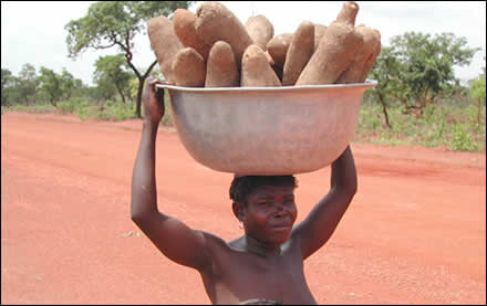 Африканский деликатес. Фото: new-ag.info