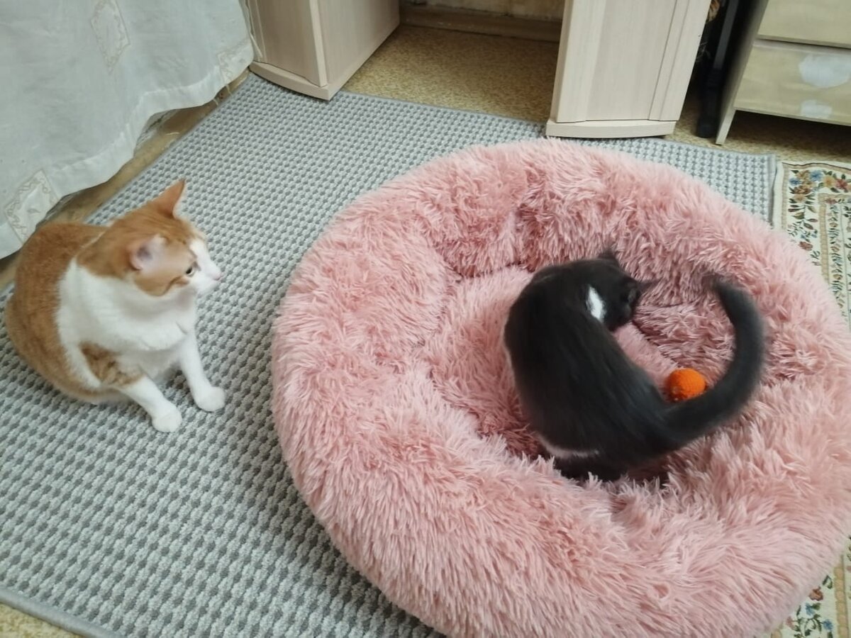 -2-2