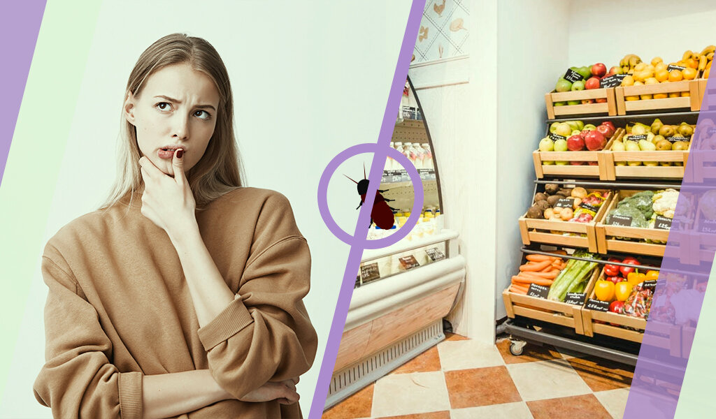 Рассказываю, как спасти ваше жилище от непрошеных вредоносных гостей из магазинов-соседей.