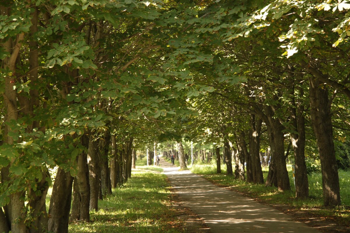 На улицах Пущино