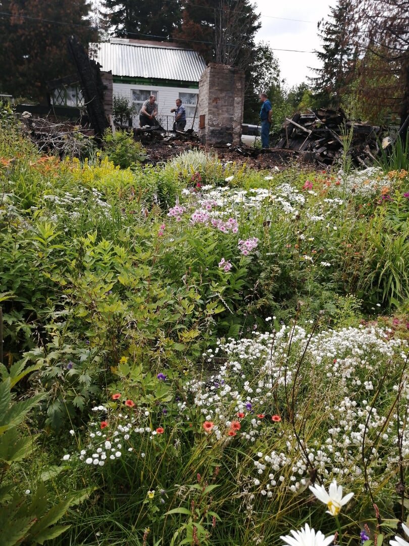 Пока мужчины демонтируют развалины домика, женщины демонтируют большой цветник в стиле "легкой небритости", ну или целой "Новой волны"