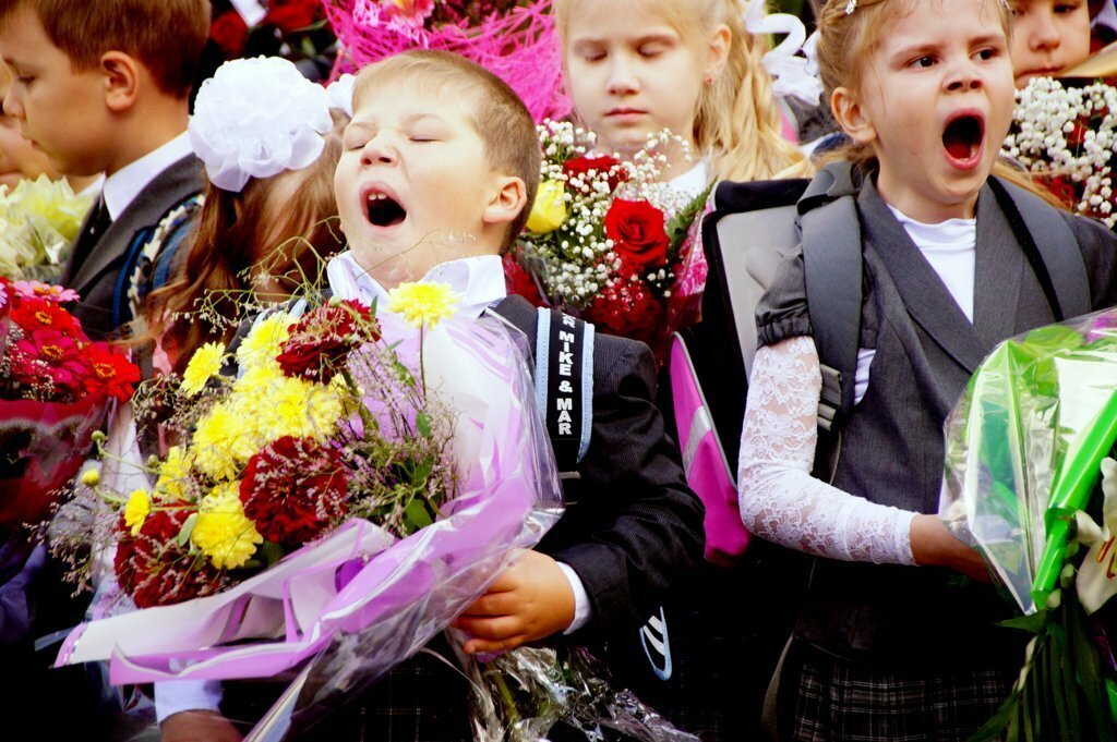 Картинка 1 сентября 2019 года