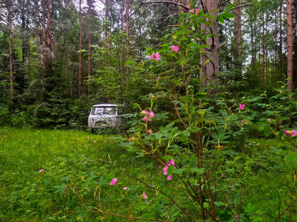 Уже с полгода пользуемся автодомом на базе буханки и просто офигеваем от него