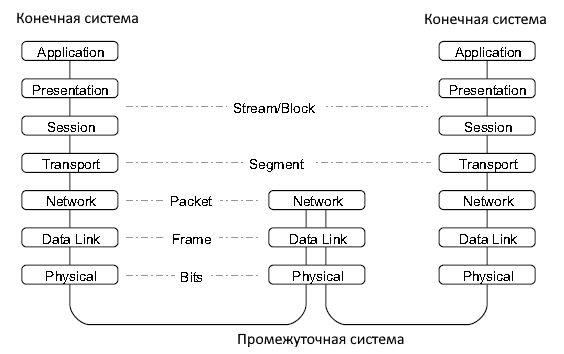 Модель OSI, включая концепцию промежуточной системы