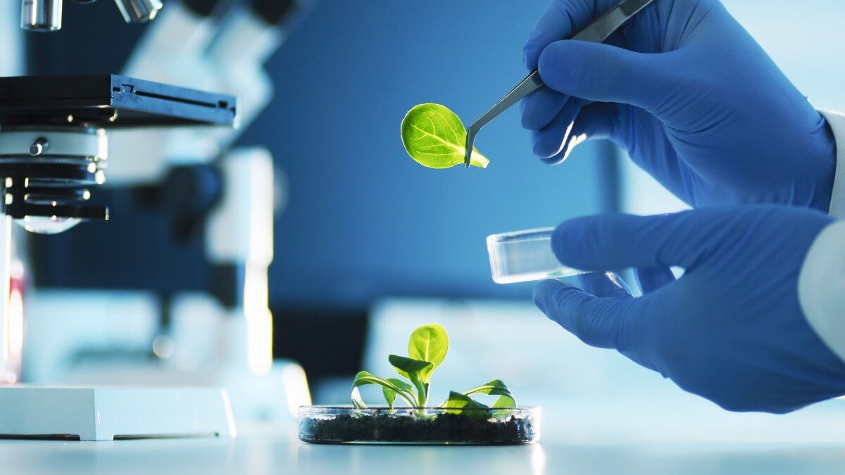  Фото: twitter.com/newsorel Фотография носит иллюстративный характер