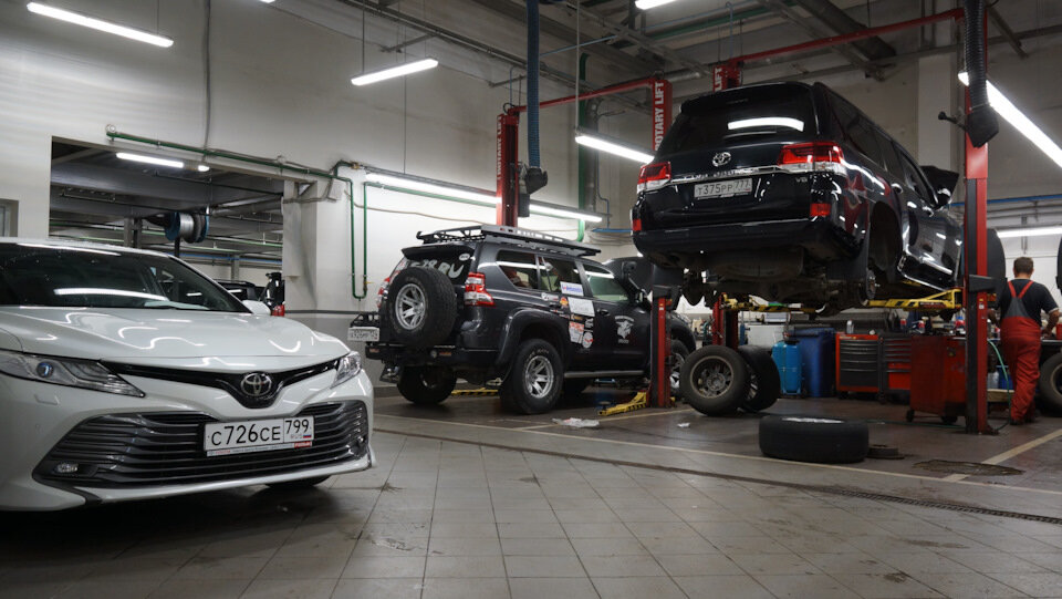 Загнали в стойло