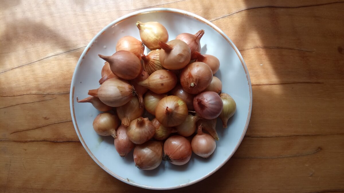 Семена лука севка - его я покупаю. Листайте галерею