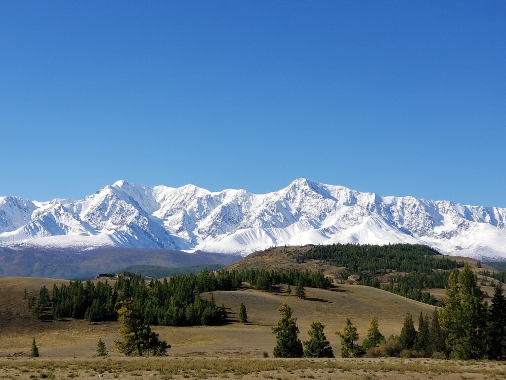 Фото: Курайская степь / Медведев Александр