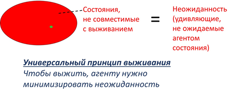 Конституция биоматематики