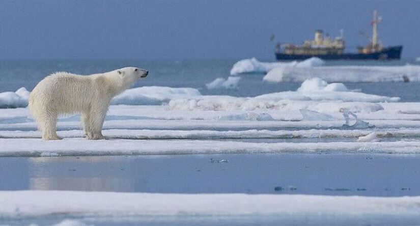 Северный морской путь 