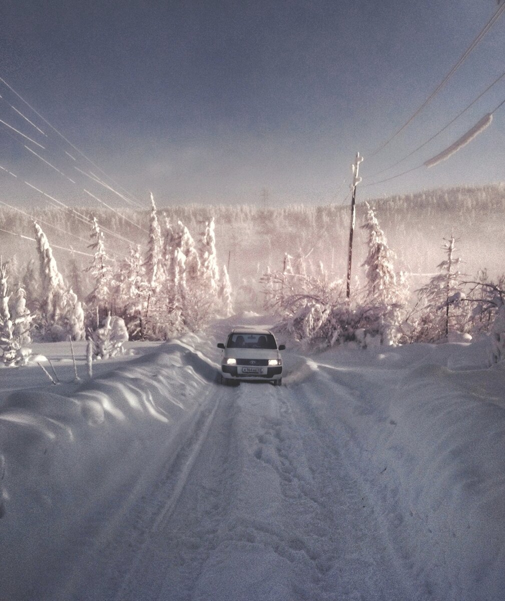 Потеплело! - 40°