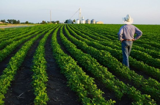 Фото с сайта trend.az