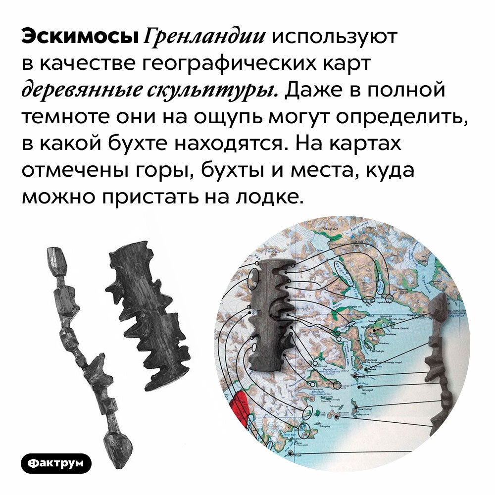 На рисунке цифрами 1 и 2 отмечены места обитания кита орки запиши названия этих океанов