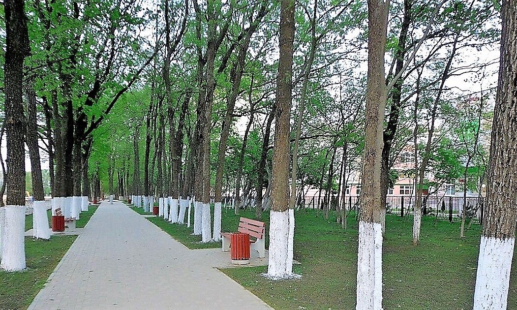 Бульварная аллея на ул. героя Аверкиева (напротив Общеобразовательной школы № 11)
