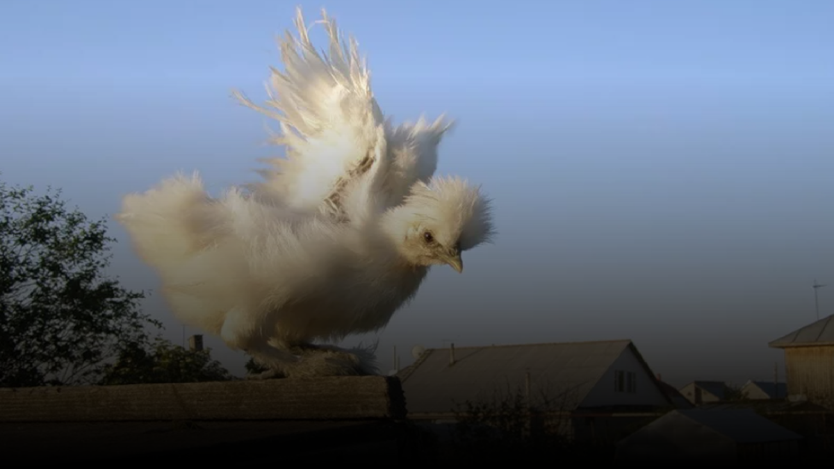 Подписывайтесь на канал и ставьте лайки - этим вы помогаете каналу развиваться. Спасибо))