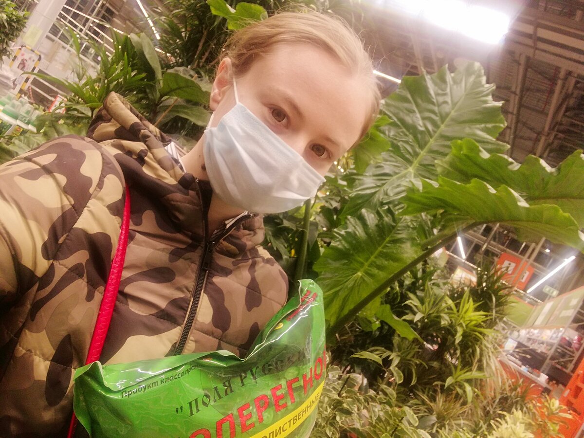 Приветствую вас на своём канале! Если вы хоть немного увлекаетесь комнатными растениями, то в курсе что дело это затратное и как любое хобби требует вложений, а отдача есть далеко не всегда.