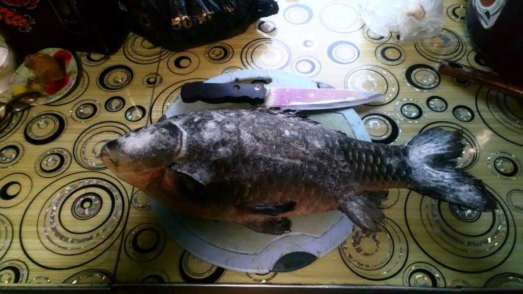 вес этой рыбы 2,4 кг