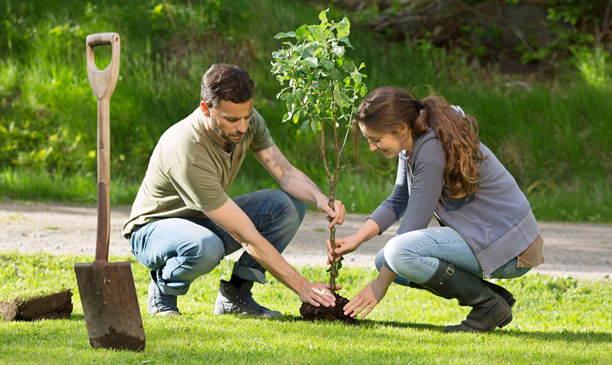 Фото: мояоколица.рф
