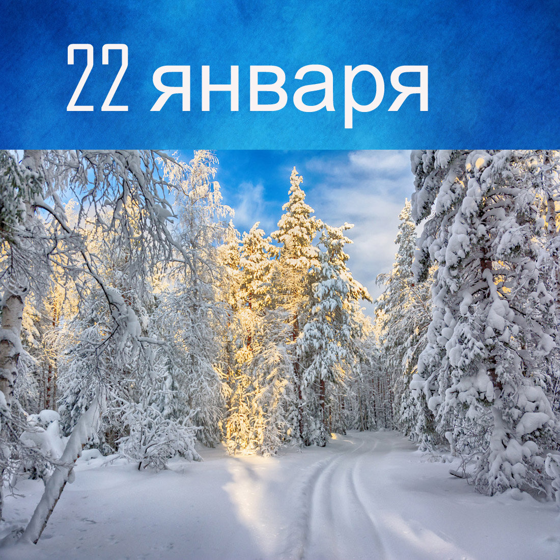 Телец 16 ноября. Телец 16 ноября