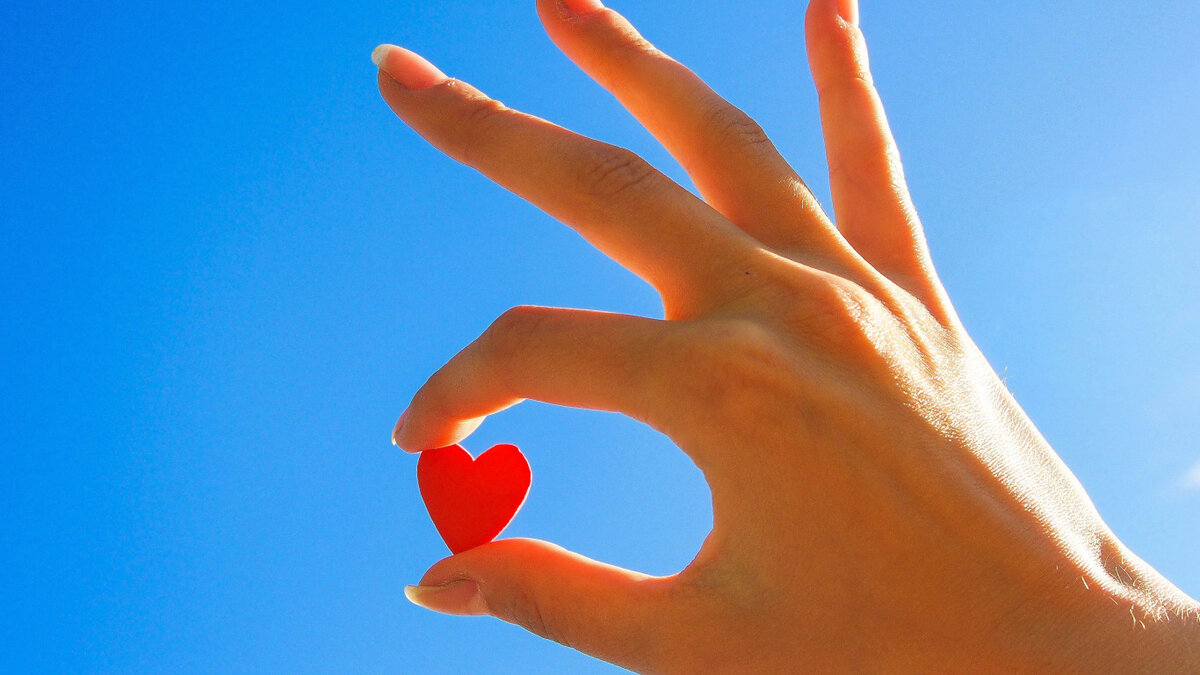 Оливковое масло уникально для сердца. Купить фермерское масло на сайте olivadar.ru