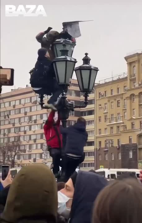 Картинка из яндекс