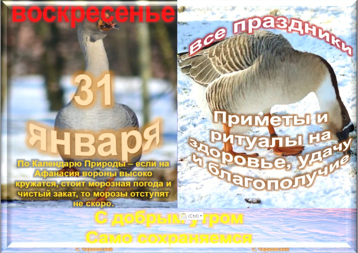 Приметы на сегодня 19 января. Народный праздник 31 января. 31 Января народный календарь. 31 Января праздник приметы. 31 Января народный календарь картинки.